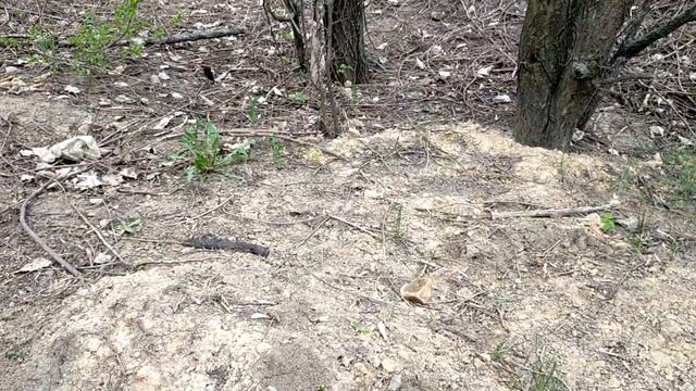 Необычное кладбище. Желтые Воды 2022. смотреть онлайн