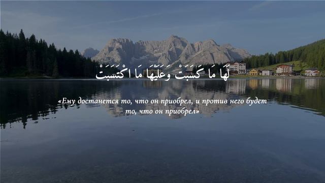 ЗАЩИТА ОТ ЗЛА / Аль-Бакара (Корова) Аят 285-286 / Омар Хишам аль Араби / Слушать Коран смотреть онлайн