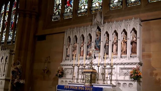 St Mary's Cathedral, Sydney смотреть онлайн
