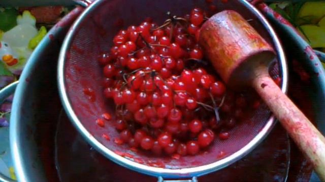 Калина красная, протертая с сахаром. смотреть онлайн