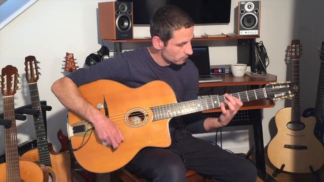 Gypsyguitar.de | Big Pickup Test | Schaller Oyster Double Socket