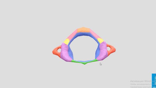 Хребтовий стовп. Columna vertebralis. Будова хребців. 3D атлас. смотреть онлайн