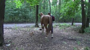 Брант писает по команде