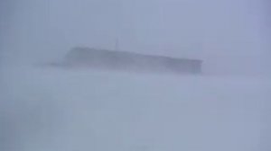 7 июня 2004 года Новая Земля Белушья Губа