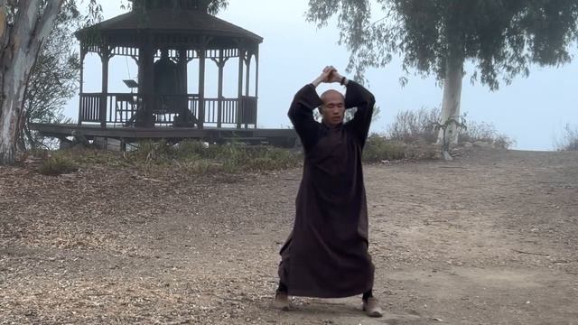 Morning Stretching Practice to Strengthen Back and Spine (20 minutes) | Qigong Daily Routine смотреть онлайн