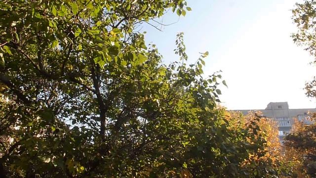ЖЕНАТЫЙ МУЖЧИНА .О ВОСПИТАНИИ. смотреть онлайн