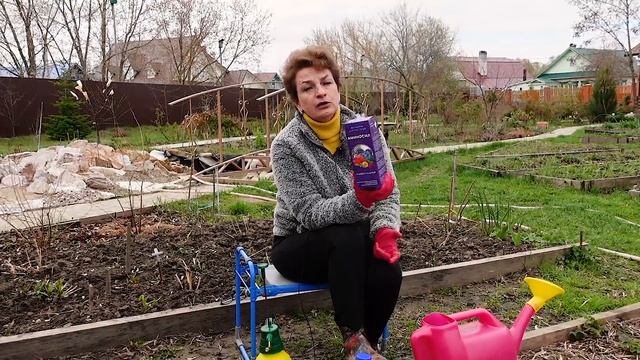 СОЧНАЯ И ЗДОРОВАЯ МАЛИНА | Чем подкормить малину весной? смотреть онлайн