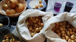 ЛУК-СЕВОК: ТРИ правила, чтобы избежать СТРЕЛКОВАНИЯ.