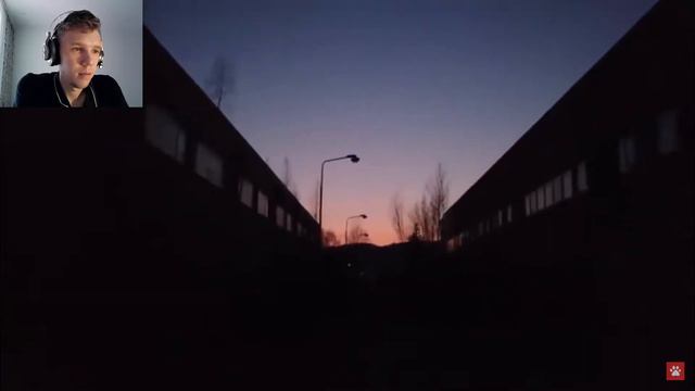 5 СИРЕНОГОЛОВЫХ СНЯТЫХ НА КАМЕРУ  Черный Кот   Реакция