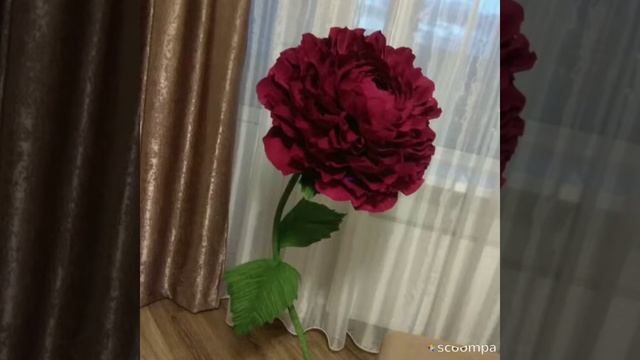 Ростові квіти ??? смотреть онлайн