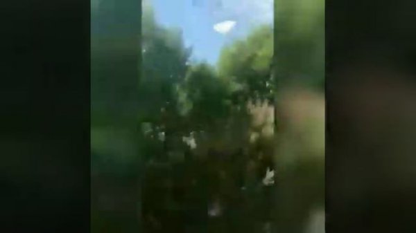 Малые кулики - The Best