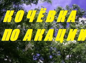 Как не пролететь с Белой акацией.Осмотр весового улья.Нет ганеманки-беспорядок в улье. смотреть онлайн
