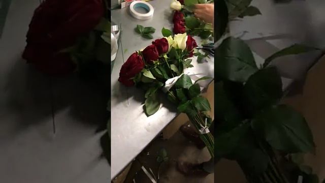 101 Роза Цифра Часть 2 смотреть онлайн