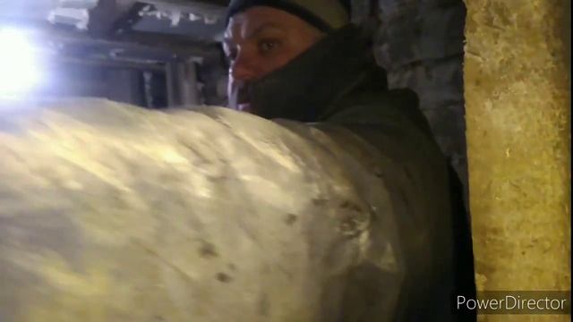 Вес поросёнка в 30 дней. Кормление отходами смотреть онлайн