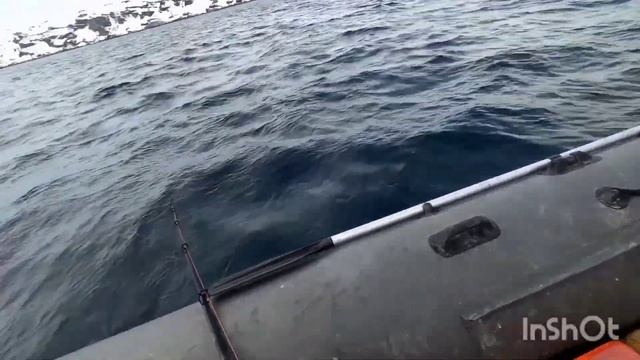 ОТЛИЧНАЯ РЫБАЛКА В БАРЕНЦЕВОМ МОРЕ. УРА-ГУБА. ТРЕСКА. "EXCELLENT FISHING IN THE BARENTS SEA". смотреть онлайн