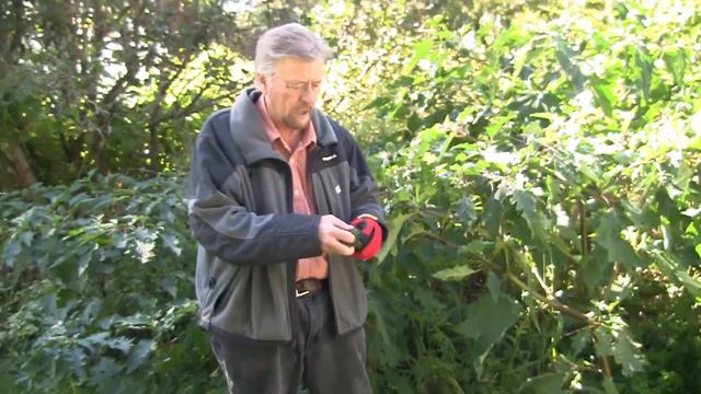 Datura and Waterborne Illness смотреть онлайн