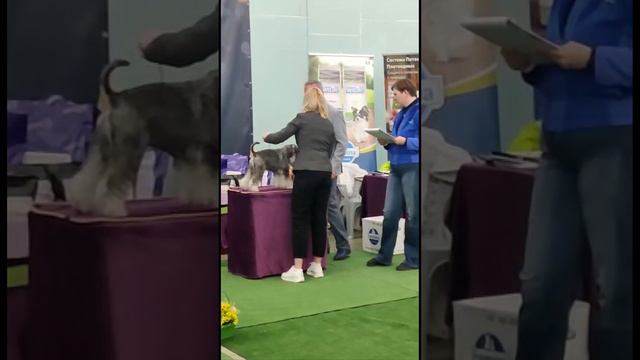 12 апреля 2023 г. смотреть онлайн