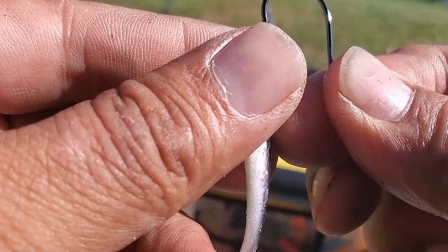 Bass Fishing with Berkley Gulp Minnows on a Dropshot and Float Rig смотреть онлайн