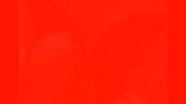 МАЛОИЗВЕСТНЫЕ ВИДЫ ЖИВОТНЫХ, LITTLE KNOWN SPECIES смотреть онлайн