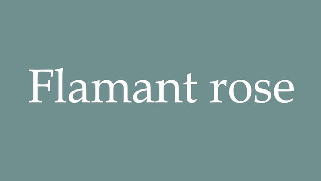 How to Pronounce ''Flamant rose'' (Pink flamingo) Correctly in French смотреть онлайн