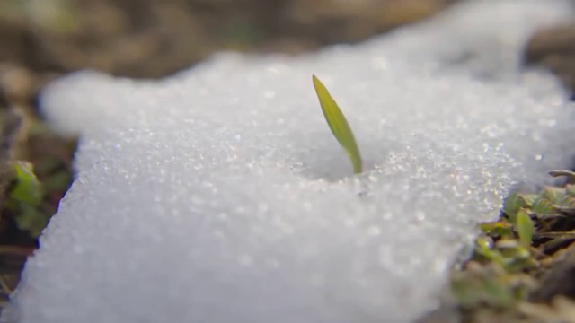 Инь и Ян - основа счастливых отношений (даосские практики) смотреть онлайн