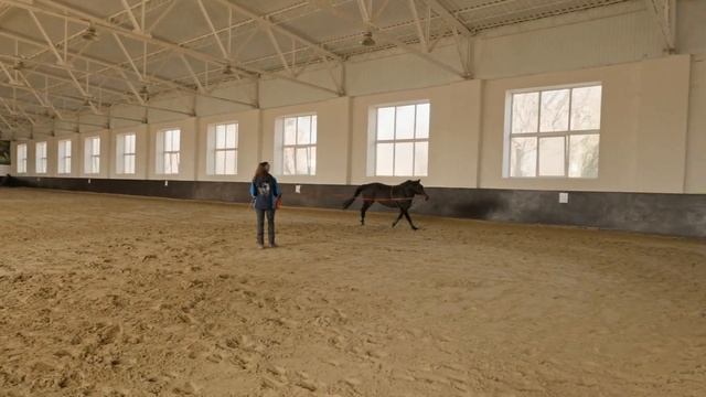 ТЕРСКИЙ КОННЫЙ ЗАВОД №169 г. Минеральные Воды смотреть онлайн