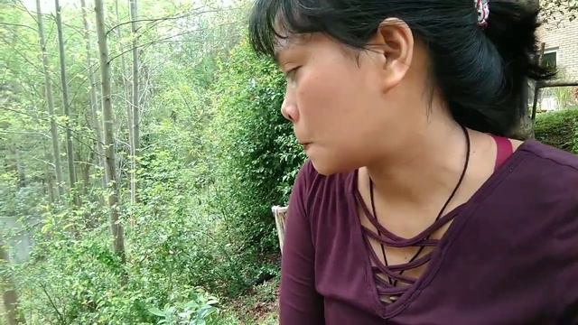 Almost stepped on a 🐍!!!😱planting bulbs(Gladiolus) cutting trees 💪😀. смотреть онлайн