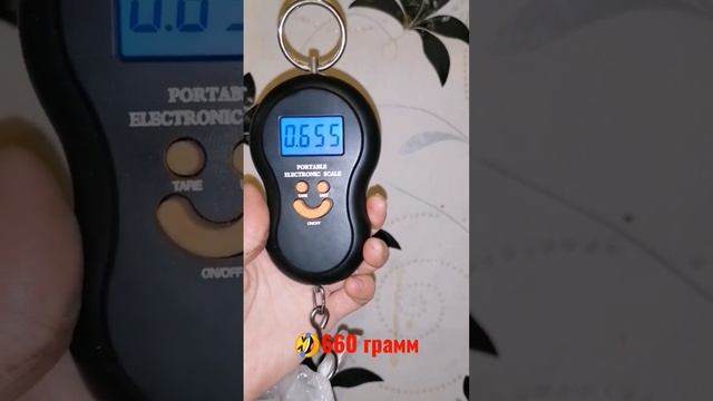 Самый крупный картофель в этом году? смотреть онлайн