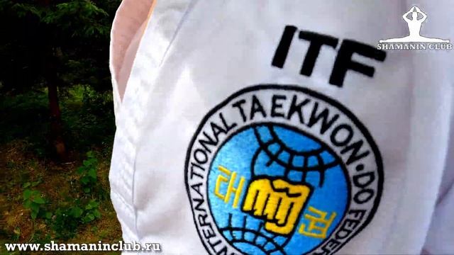 Летний лагерь 2022 г. с Чемпионом Мира по тхэквондо Антоном Шаманиным смотреть онлайн