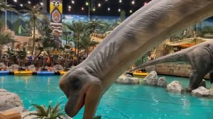 Остров мечты