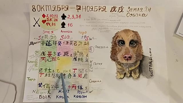 Прогноз на Октябрь - Месяц Земляной Собаки смотреть онлайн