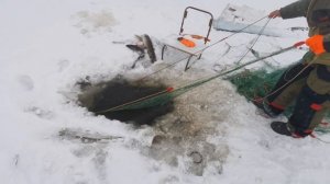 Зимняя Рыбалка На Сети / 5 Видов Рыб На Сети!