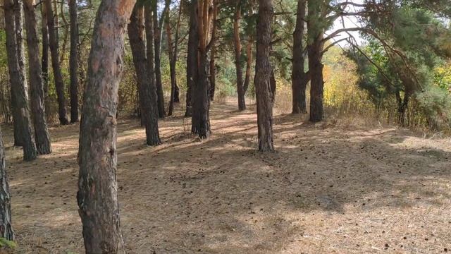 Река Ворона, село Перевоз смотреть онлайн