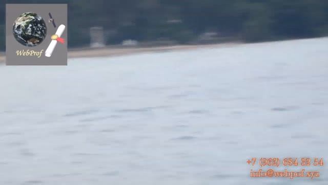 Пляж МВО Сухум смотреть онлайн