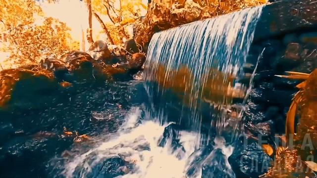 РЫЖАЯ НИМФА и СЧАСТЛИВЫЙ КОНЕЦ. Интересные истории из жизни. Аудио рассказы. Теща Сладкая смотреть онлайн