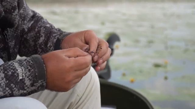 РЫБАЛКА на КАРАСЯ! Лучшая насадка на карася - РВАНЫЙ КРАСНЫЙ!.mp4 смотреть онлайн