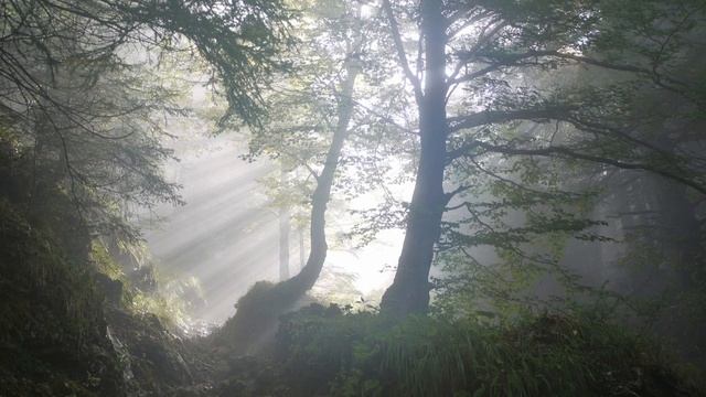 Music of the Angels, Archangel Raphael, Angel of Healing, Magical, Heavenly Music Angels смотреть онлайн