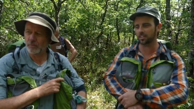 Le point de vue des pèlerins sur les chemins de Compostelle смотреть онлайн