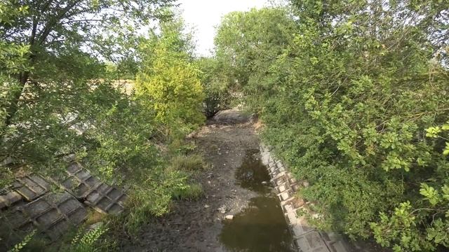 #ВЛОГ: В Крыму из реки Салгир исчезла вся вода! Экологическая катастрофа в Крыму нет воды. смотреть онлайн
