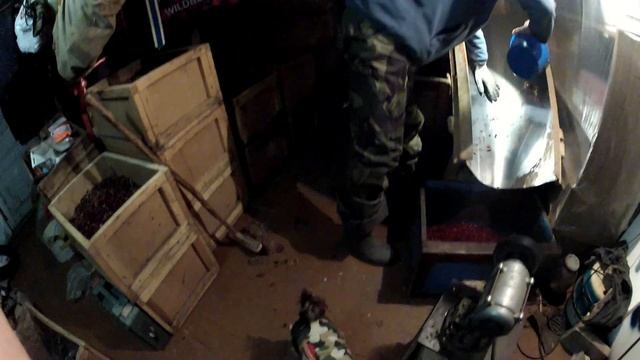 КАК БЫСТРО ОЧИСТИТЬ КЛЮКВУ . смотреть онлайн