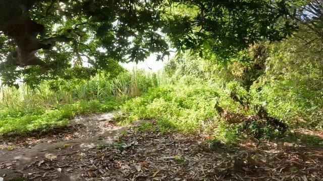 KAYAWAN смотреть онлайн