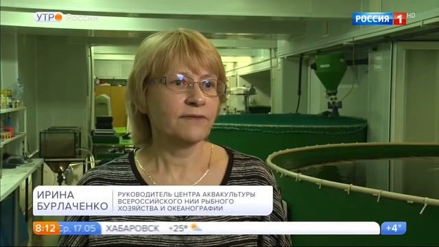 Какую рыбу выбрать - советы Роскачества. смотреть онлайн