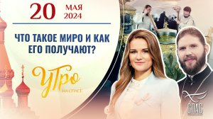 ЧТО ТАКОЕ МИРО И КАК ЕГО ПОЛУЧАЮТ?