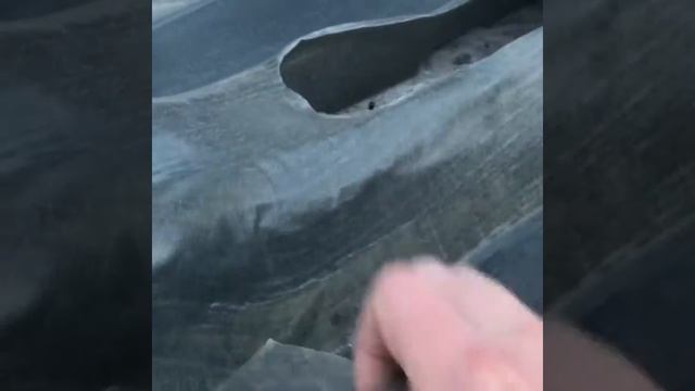 Ковёр салона нива лада непромокаемый смотреть онлайн