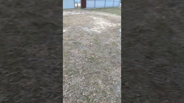 Как убрать воду с участка? Простая дренажная система! смотреть онлайн