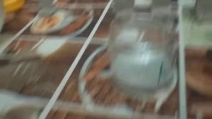 Смотри  3 минуты об ангобах по керамике. Как разводить и наносить ангоб. Отличия ангобов от глазуре