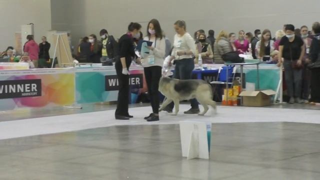 Сорбонна смотреть онлайн