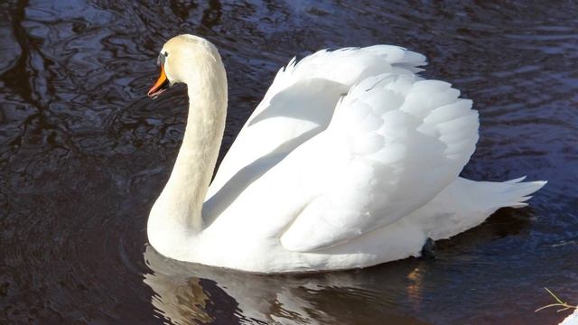 Последний день февраля. Поездка в Лигатне.