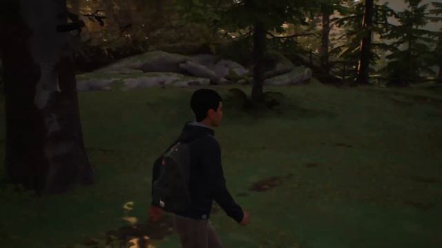 Life is Strange 2 - Episodio 1: Roads - Gameplay Español - Capitulo 2 "Aventura en el Bosque" смотреть онлайн