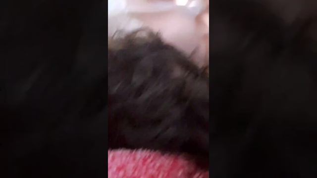 Я и моя сестра"АЛКА ФИАЛКА,, смотреть онлайн